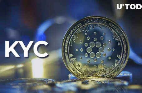 Cardano’s Network: Pros and Cons of KYC Implementation