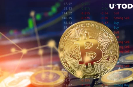 Here’s Who Pushed Bitcoin (BTC) Higher by 12%: Details