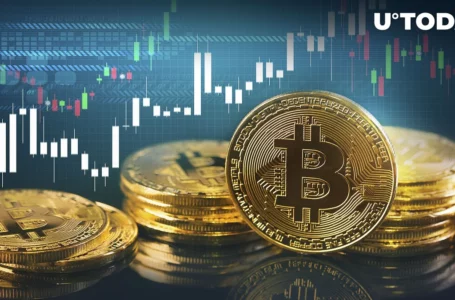 Bitcoin (BTC) Prints Extremely Important Signal That Historically Led to Massive Rallies