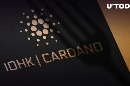 Cardano (ADA) Looks to Double Down on Stablecoin Development, Here’s How