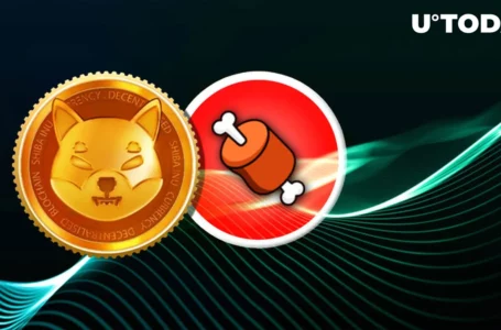 Shiba Inu’s BONE Rallies 8% as SHIB Dev Hints Positive News: Details