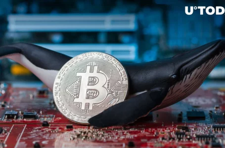Ancient Bitcoin Whales Massively Waking Up: What’s Happening?