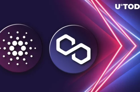 Polygon (MATIC) About to Overpass Cardano (ADA), Here’s What’s Happening