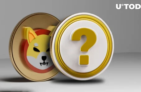 Next Shiba Inu (SHIB)? New Meme Coin Sees Massive Volume on Upbit