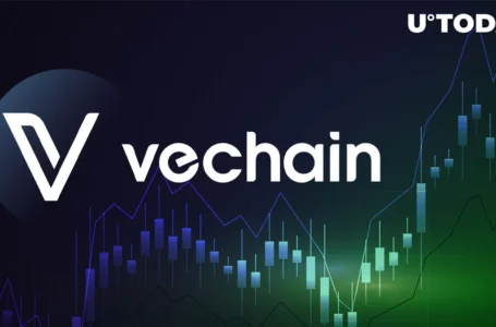 VeChain (VET) up 14% Following These Two Key Triggers: Details
