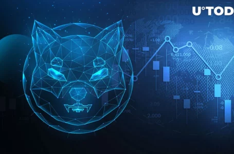 Shiba Inu (SHIB) Price Gains Momentum, Here’s Likely Reason for It