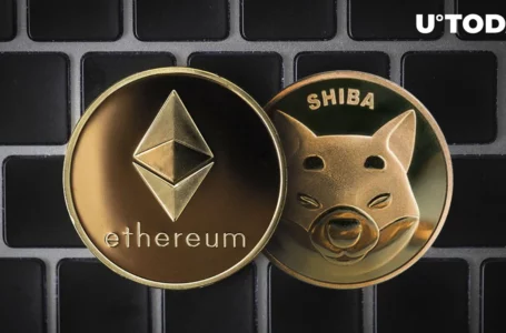 Bankrupt Crypto Broker Shocks Market, Shifts 2,500 ETH and 250 Billion Shiba Inu (SHIB)