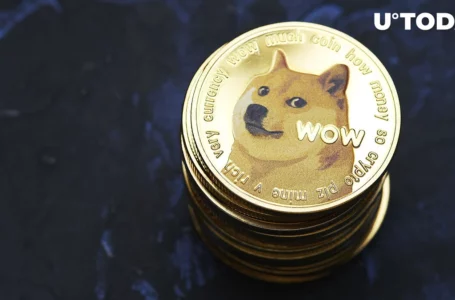 Dogecoin (DOGE) Sits Out Recent Upsurge, Are Whales Planning Move?