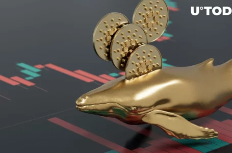 Cardano (ADA) Jumps 12% as $100K Transactions Spike, Here’s What to Expect