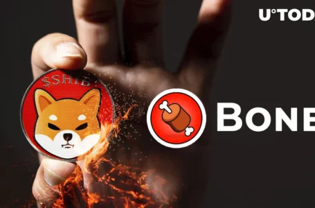 Shibarium to Roll Out This Week, Users Will Grab BONE to Burn Shiba Inu (SHIB): Bone ShibaSwap