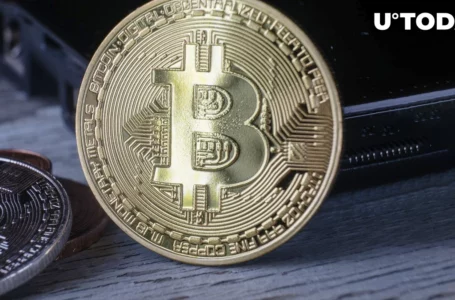 Bitcoin (BTC) Must Hold Above $25,000, Here’s Why, Explains Bloomberg Expert