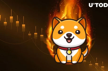 Baby Doge Coin (BabyDoge) Down 28% Weekly Despite Burn Portal Takeoff, Listings