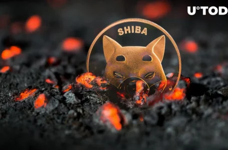 SHIB Burn Rate Drops Below Zero, Here’s What’s Happening