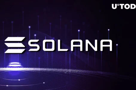 Solana (SOL) Builds Crucial Resistance Amid Positive Long-term Sentiment