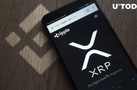 Tens of Millions of USD in XRP Moved from Binance – What’s Happening?