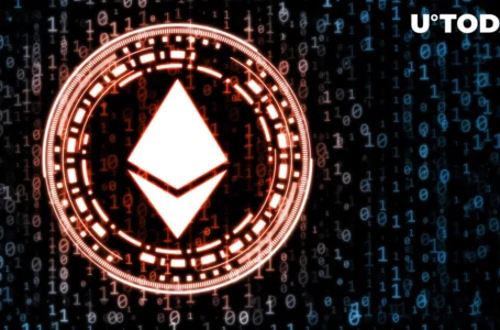 ‘Stupid Money’ Account Lost $2 Million in USDC in Half Year, Here’s How Not to Trade Ethereum
