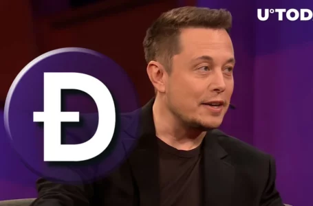 Dogecoin (DOGE) Pumps After Elon Musk Confession