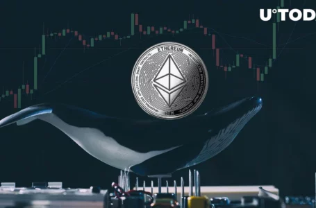 Ancient Ethereum ICO Era Whale Wakes up, Moves $8 Million to Two Addresses