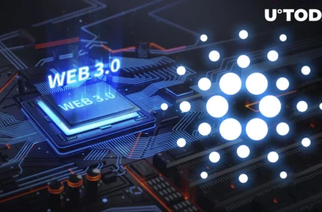 Here’s How to Unlock Cardano (ADA) Web3 Support in This Popular Crypto Wallet