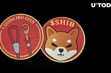 Shiba Inu’s LEASH Hits Major Price Point After Rallying 60%, Here’s What’s Next