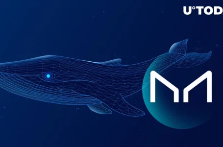 Maker (MKR) Sees Largest Whale Move in Months Following 24,300 MKR Transfer