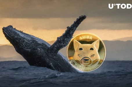 92 Billion SHIB Added by Major Shiba Inu Whale; He Now Holds 1.1 Trillion SHIB