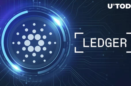 Cardano (ADA) Users on Ledger Might Have Issues Sending Their Assets Due to This: Details