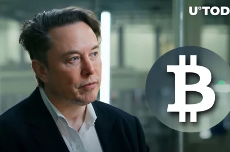 BTC Community Wants Elon Musk to Integrate Bitcoin Lightning Payments, Poll Says