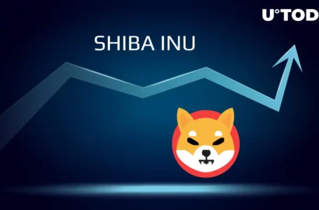 Shiba Inu Burn Rate Spikes 1,364% as Following Happened to SHIB