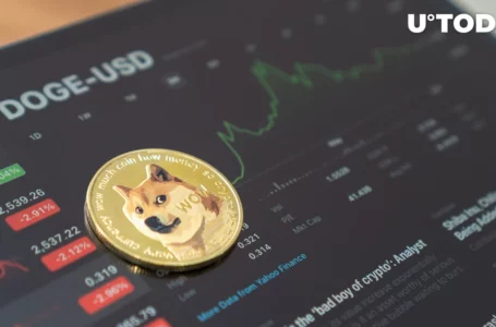 33.5 Billion Dogecoin Held by Robinhood Clients After Recent DOGE Surge