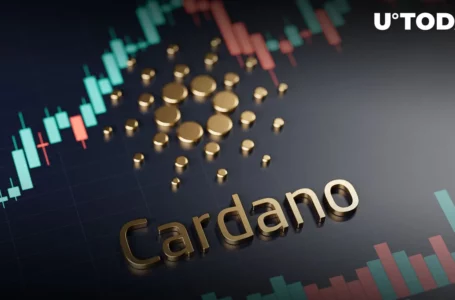 Cardano (ADA) up 52% MTD, Here Are Two Crucial Factors That Triggered Price
