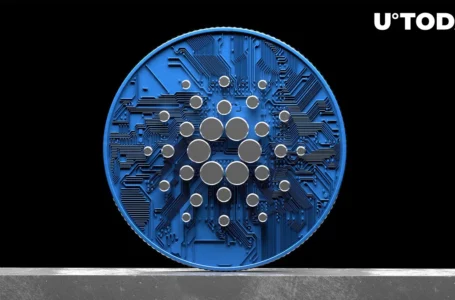 Cardano: Understanding Role of Shen in Djed