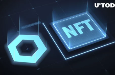 Chainlink (LINK) Keeping Eye on NFTs, Check Out Reason