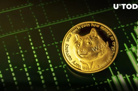 Dogecoin (DOGE) up 6% Amid Broader Market Slump, Here’s Why