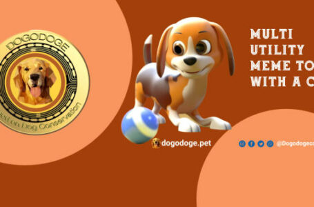 Dogo Crypto Coin Review 2023