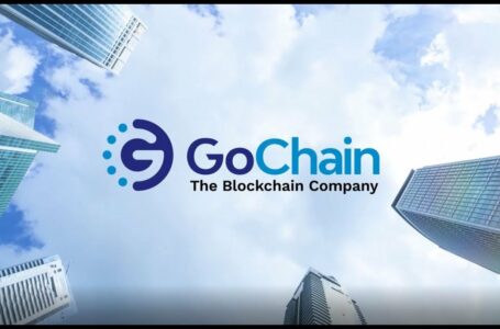 GoChain (GO) Review: All You Need To Know About