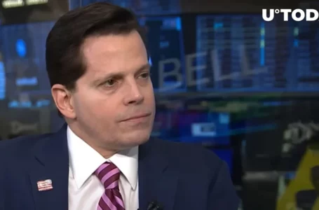 Anthony Scaramucci Says There’s Enough Time to Fall in Love With Bitcoin