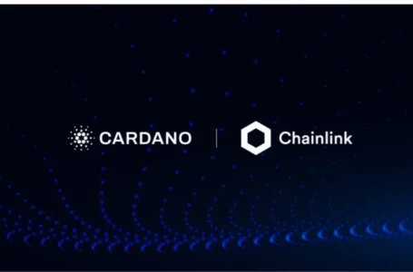 Chainlink Vs. Cardano Review: What is the Difference?