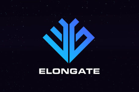 ElonGate crypto Review: A Binance Smart Chain-Based Token