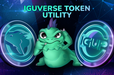 IguVerse (IGU) A Play to Earn Social Networking Game
