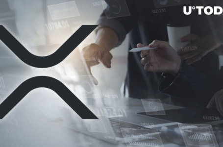 XRP Market Cap Tops $20 Billion