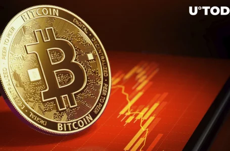 Bitcoin (BTC) Takes a Nosedive: What Is Behind Recent Crash?