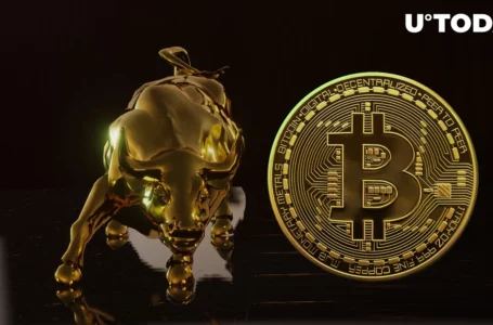 Bitcoin (BTC): Analyst Identifies 9 Factors Pointing to Bull Run
