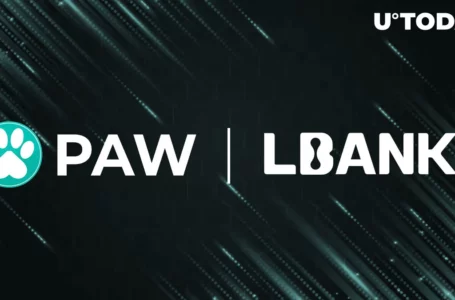 Shiba Inu’s PAW Token Listed by Major LBank Exchange Ahead of Shibarium Launch