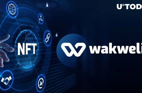 NFT Certification Protocol Wakweli Closes First Funding Round with $1.1 Million Raised
