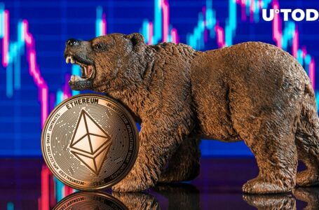 Ethereum Monthly Earnings at All-Time High, During Bear Market