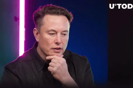 Elon Musk-Shytoshi Kusama Identity Rumor Clarified Once and for All: Details