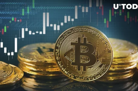 Bitcoin Outperforms NASDAQ, S&P 500, Dow Jones, and Gold Combined