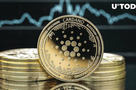 Cardano (ADA) Price Slip Deepens, Here Are Likely Beneficiaries of This Trend