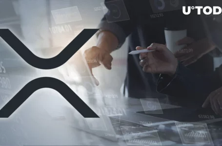XRP Shows Bullish Signs as Key Signal Emerges, Here’s What to Look out For